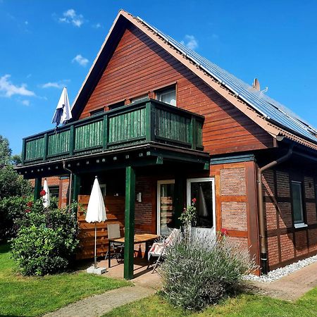 Ferienhaus Sasse Ferienwohnungen Mit Garten & Grill Molschow Eksteriør billede